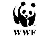 WWF России дарит нам подарок